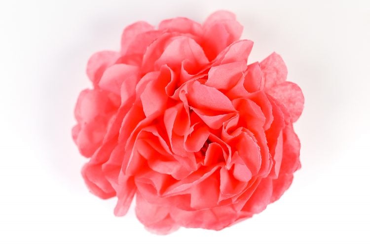 Tissue paper flowers make a gorgeous event decor with a big impact—think weddings, baby showers, bridal showers and more! Learn how to make easy tissue paper flowers, as well as different methods for cutting the petals to create four unique styles.